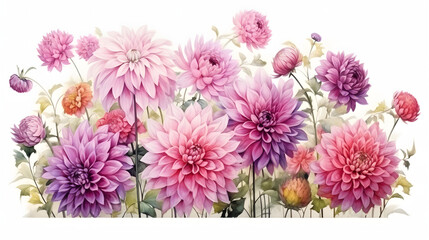 dahlia flower garden landscape, watercolor illustration