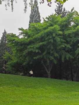 child in forest