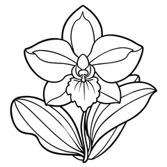 Orchid flower outline illustration coloring book page design, Orchid flower Bouquet black and white line art drawing coloring book pages for children and adults
