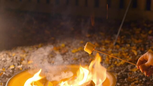 Hand burning Marshmallow with wooden stick in a fire place camping 