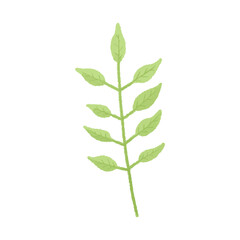 Fototapeta premium Watercolor vector illustration of a leaf in childish style.