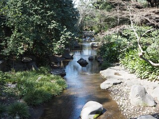 公園の林の間を流れる小川