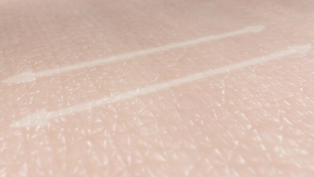 Skin wrinkle reduction. 3d rendering of human skin surface before and after anti-wrinkle therapy. Restore collagen fiber production and regeneration of skin tissue&rsquo;s layers. Anti-aging treatment