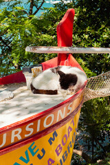 Chat dormant sur un bateau à Cavtat, Croatie