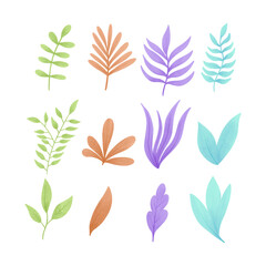 Set of watercolor vector illustration of a seaweed in childish style.