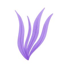 Watercolor vector illustration of a seaweed in childish style.