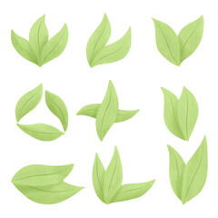 Set of watercolor vector illustration of a leaf in childish style.