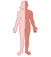 Fototapeta premium Flat drawing of male and female halves.