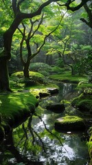 Peaceful arboretums showcasing nature's beauty