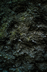 cast wall texture close up, macro