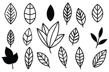 Doodle Leaves Collection Set vector design