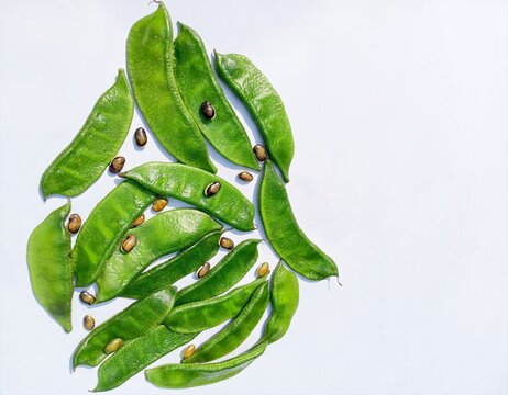 Lablab purpureus commonly known as hyacinth bean, lablab bean, bonavist bean/pea, dolichos bean, sem bean, Indian bean, Egyptian kidney bean, bataw and Australian pea