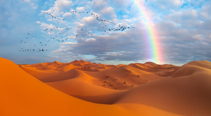 Silhouette of birds flying over Sahara Desert at amazing rainbow