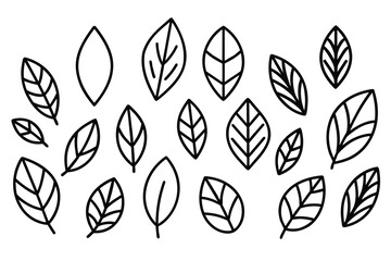 Doodle Leaves Collection Set vector design
