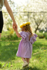 A beautiful girl with blond hair, two years old, is walking in the garden. Little girl with a wreath on her head. Dandelion wreath. A child walks hand in hand with his parent. A little girl is being h