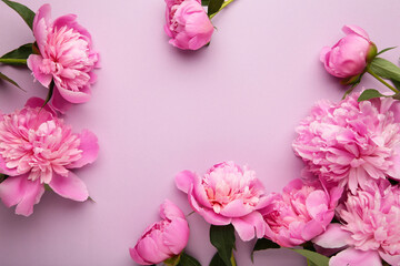 Pink peony flowers on purple background. Top view with copy space. Flat lay
