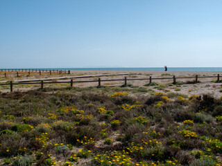 Paraje Natural Punta Entinas-Sabinar, catalogado como Espacio Natural Protegido. Roquetas de Mar,...