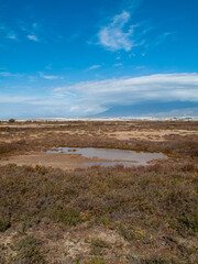 Paraje Natural Punta Entinas-Sabinar, catalogado como Espacio Natural Protegido. Roquetas de Mar, Almería, Andalucía, España.