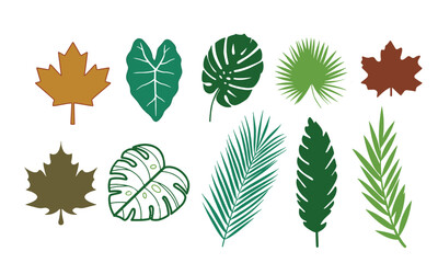 Fototapeta premium Collection of Tropical Leaves, Monstera leaves, maple leaf, palm leaves Silhouette Vector plant foliage.
