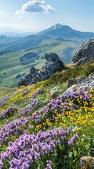 Obraz premium Rocky slopes covered in a blanket of spring flowers