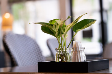 Small plants in glass jars and toothpicks on the table ,The interior of the restaurant on the...