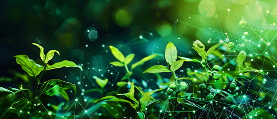 abstract biotechnology innovation, dynamic digital background with molecular structures and technological elements Overlaid with images of green biotechnology seedlings