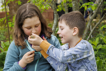 A girl and a boy of Caucasian type sit in the garden and play with little chicks