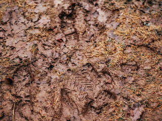 Boots footprint on a wet muddy soil in a forest or field. Travel in wild nature theme. Living in a rural country side with minimal comfort theme.