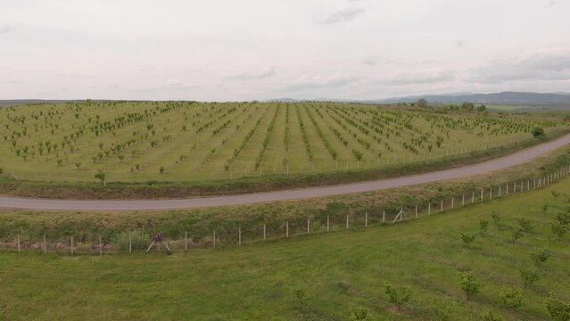 sports car driving down the road, drone footage