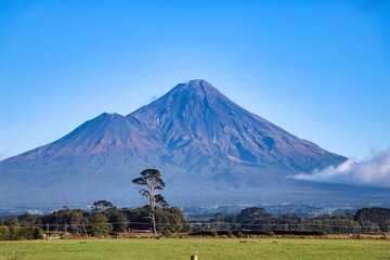 New Zealand