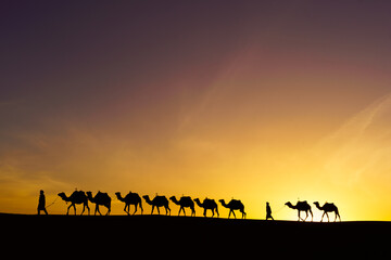 Sunrise silhouette of camels and handler, Merzouga