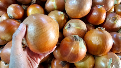 Close-up image of a hand selecting a fresh, onion from a pile at a local market