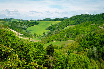 Obraz premium springtime panorama of the hills of oltrepo pavese, vinery area in italy (lombardy region) at the borders with piedmont and emilia romagna. it's famous for valuables wines, mainly sparkling wines.