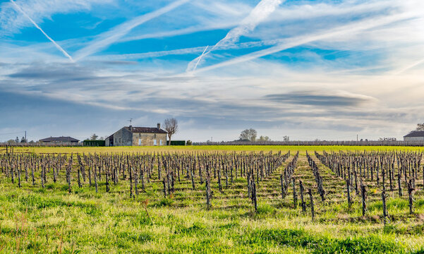 Saint-&Eacute;milion, Nouvelle-Aquitaine, France: Bordeaux wine region