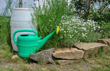 watering can in garden. watering can and plastic barrel for collecting rainwater in the garden. watering concept