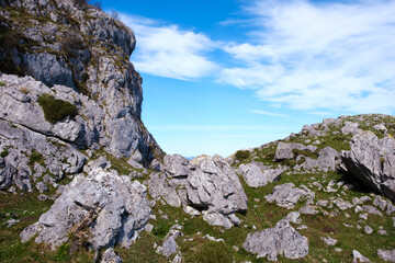A landscape featuring rocks made of calcareous rock and patches of grass under a clear blue sky. The rocks are scattered across the ground, with tufts of green grass growing in between.