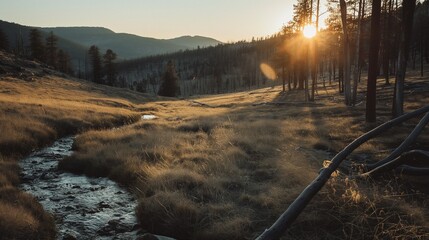 arid rivers, a valley, trees, a sunset, a broad perspective, a 35mm lens, photography, and minute details