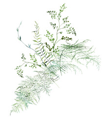 Bouquet with Watercolor fragile stems and tiny green leaves isolated illustration, botanical wedding