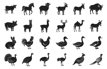 Farm animals vector illustration. Different domestic birds and pet hand drawn black on white background. Silhouette of alpaca, bison, camel, rabbit, rooster, sheep, cow, horse.