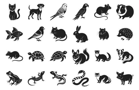 Pet vector illustration. Different domestic animals hand drawn black on white background. Cat, dog, hamster, parrot, frog, snake, rat, salamander silhouette.