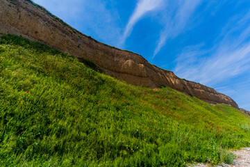 grass and blue sky
