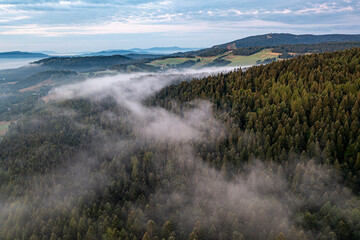 Cichy Kącik, Krzyżówka, Krynica, Poland © Maciej G. Szling