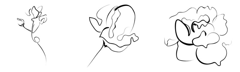 Black line rose in different stage of bloom. One color illustration. Retro minimalist Rose