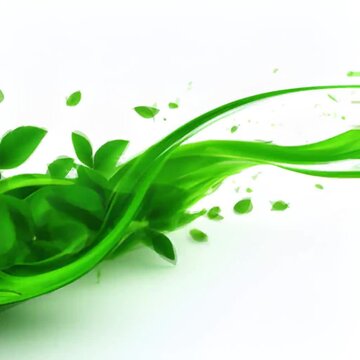 Green mint leaves on a white background