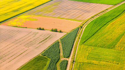 Aerial view of green agricultural fields in rows of crops in patterns, Rural farmland with productive soil, irrigation, and sustainable farming practices