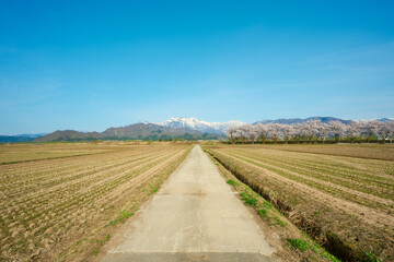 南魚沼の春の景色