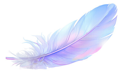 The model has rich colors, intense reflections on the feathers, transparent background.