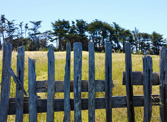 weathered wood fence against the treelined bluffs