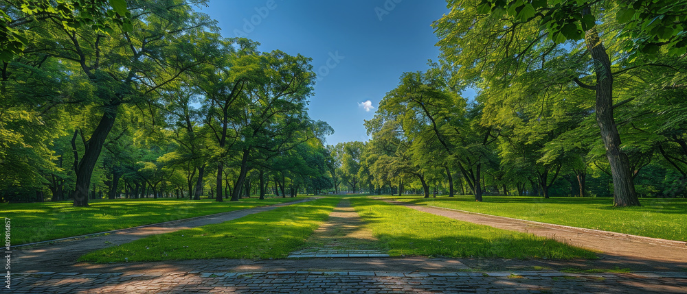 Aufkleber scenic view of public park with lush trees and walk paths, captured from a low angle perspective.