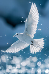 Obraz premium Stark white bird soaring in polar sky